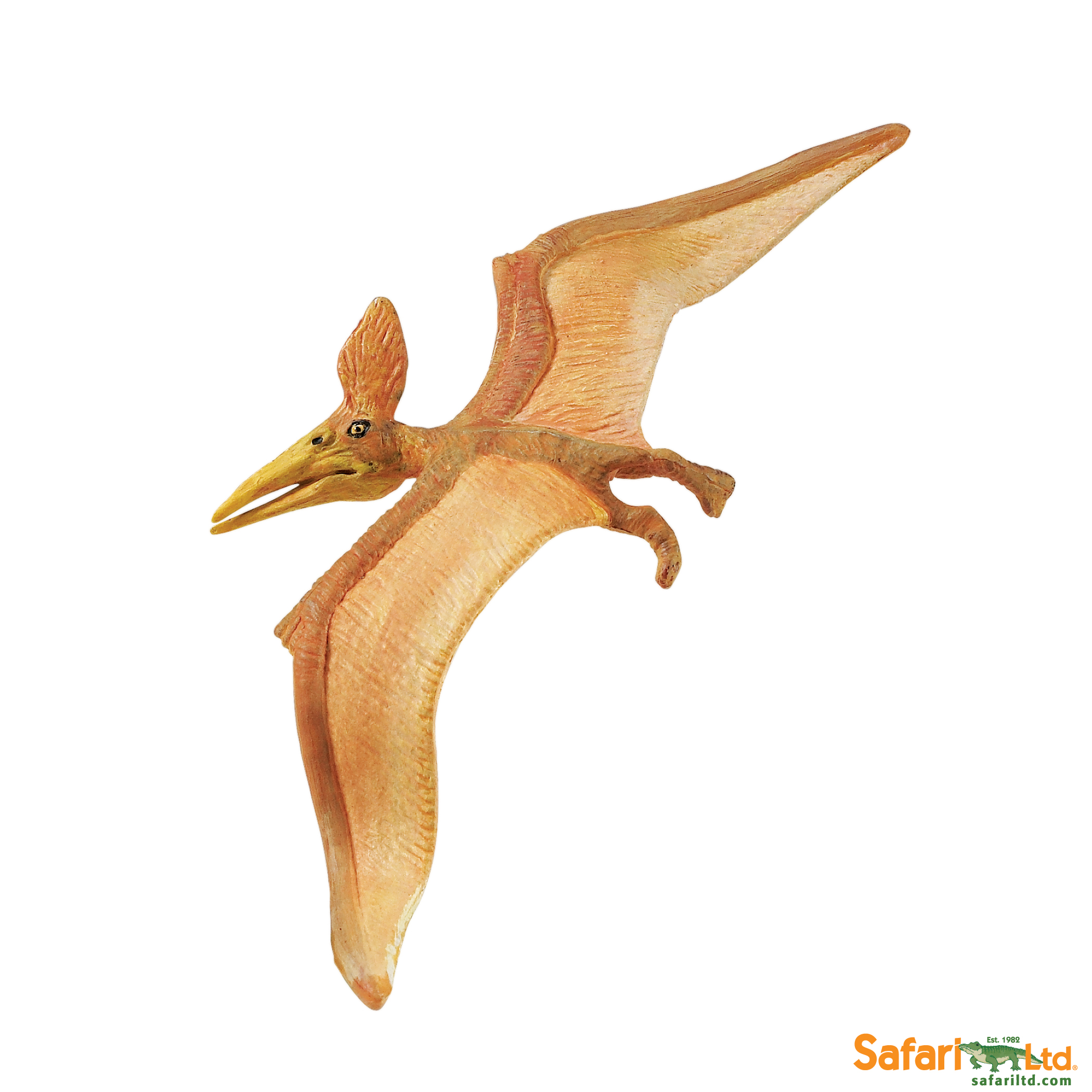 279229 Pteranodon.jpg