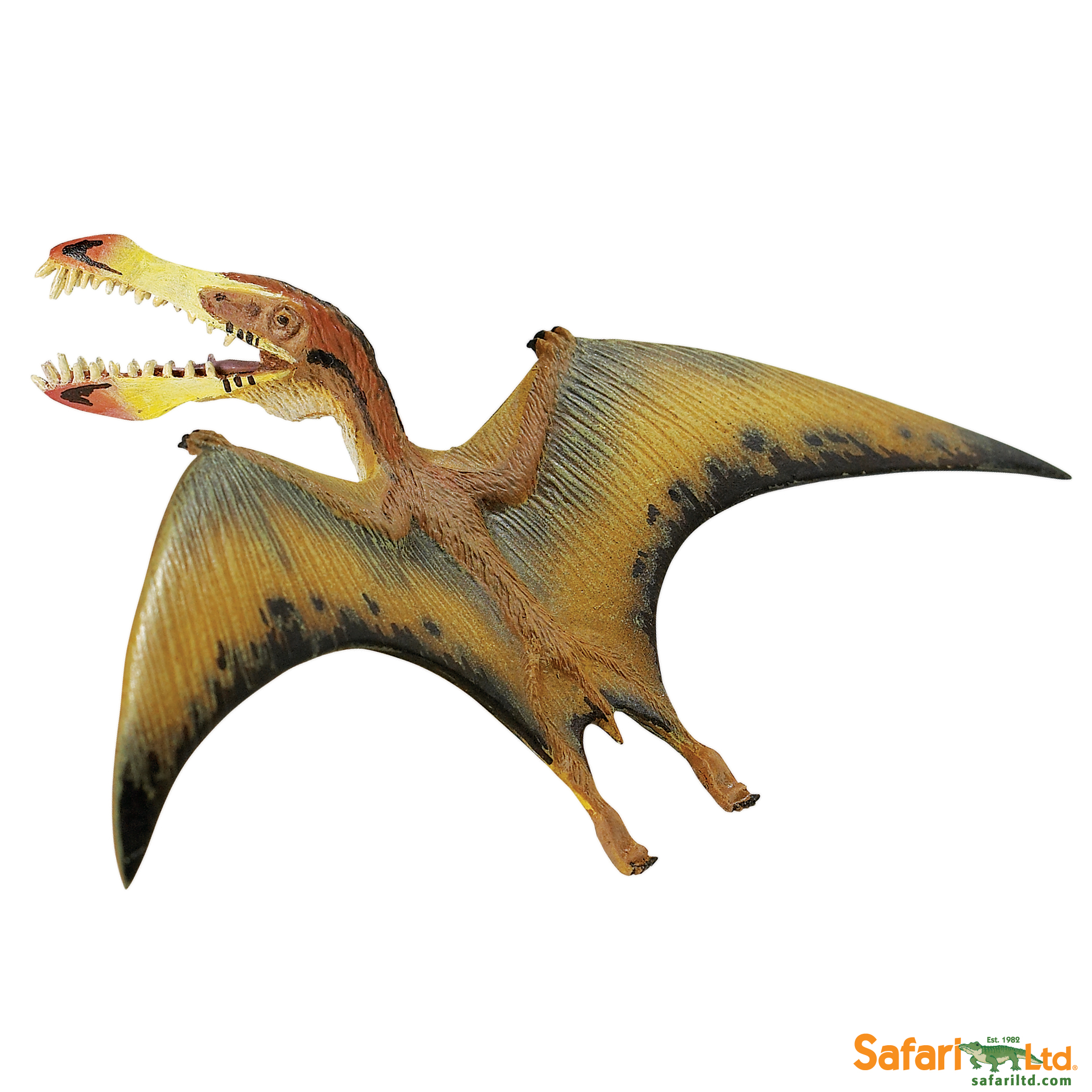 299729 Pterosaur.jpg