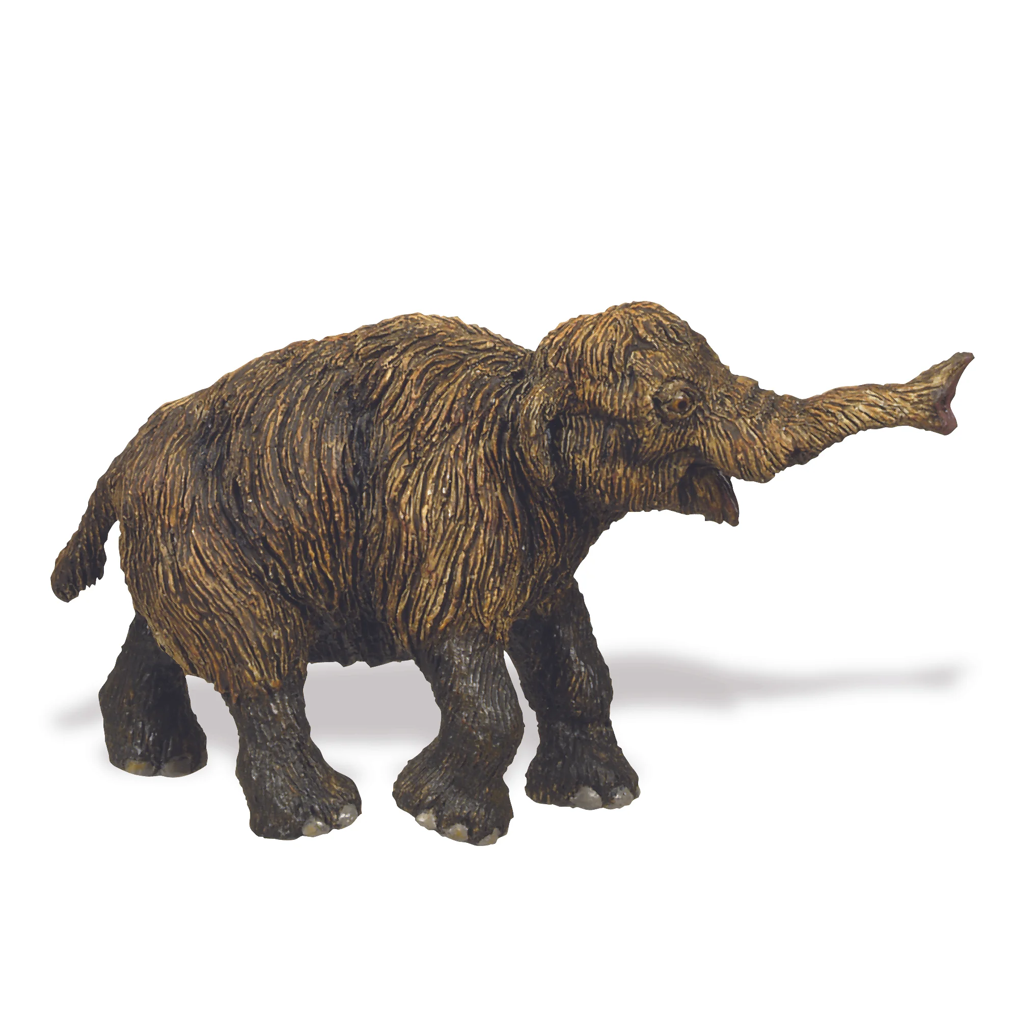 280029 Mammoth Baby original.jpg