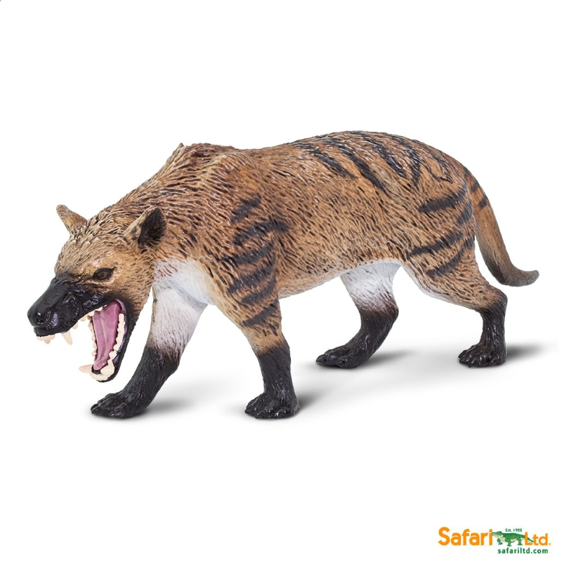 Hyaenodon-gigas - 2017 - 100126-3.png