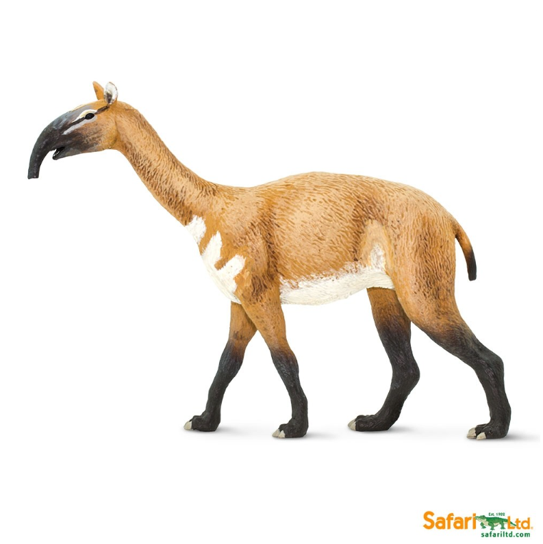 Macrauchenia - 2018 - 100127-2.png