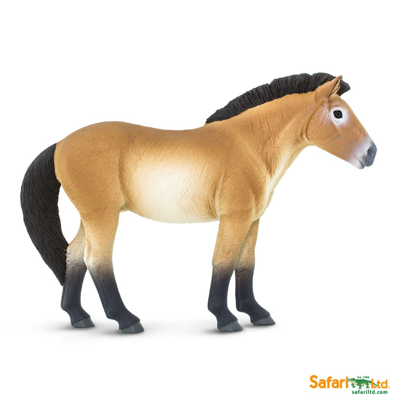 Przewalski Horse - 2017 - 153505-2.png
