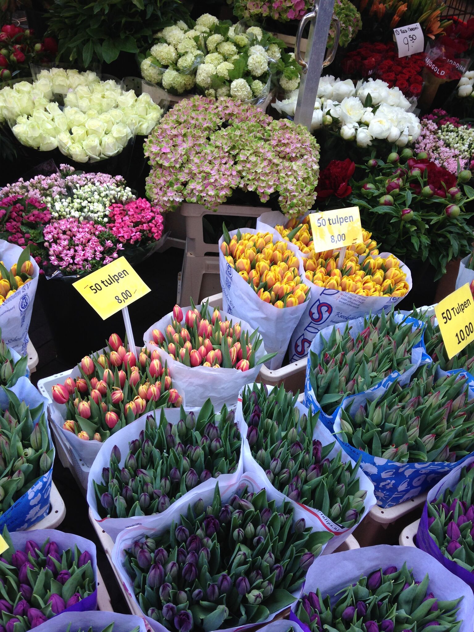 Of course, many know that Holland is known for its tulips, bulbs, and flowers. As we walked along one of the canals, there were thousands, probably millions of flowers and bulbs for sale at the canal-side vendors. They were beautiful! We didn't get any. No room in our luggage!