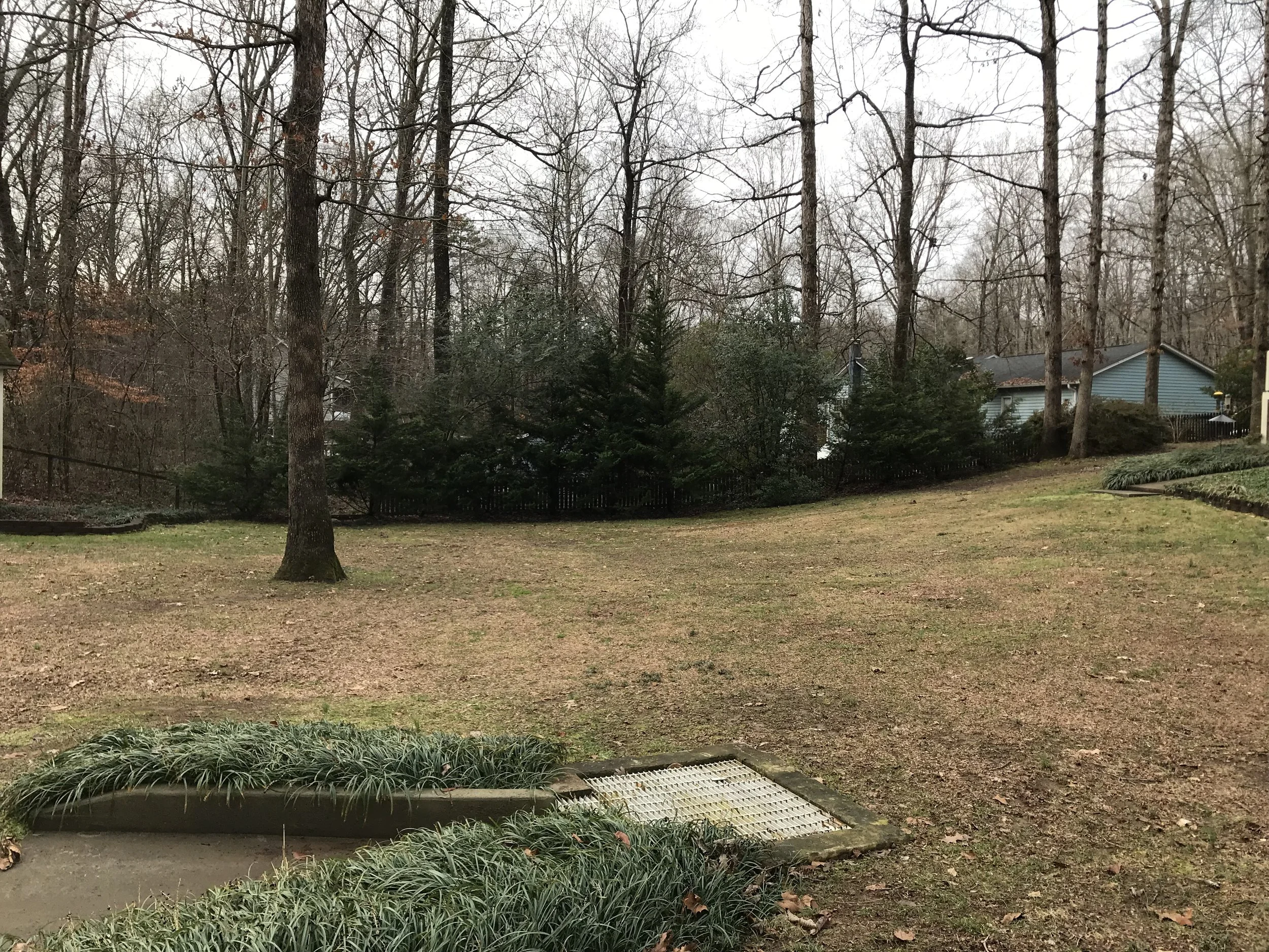 This is Photo 2, looking across the back yard from the driveway.