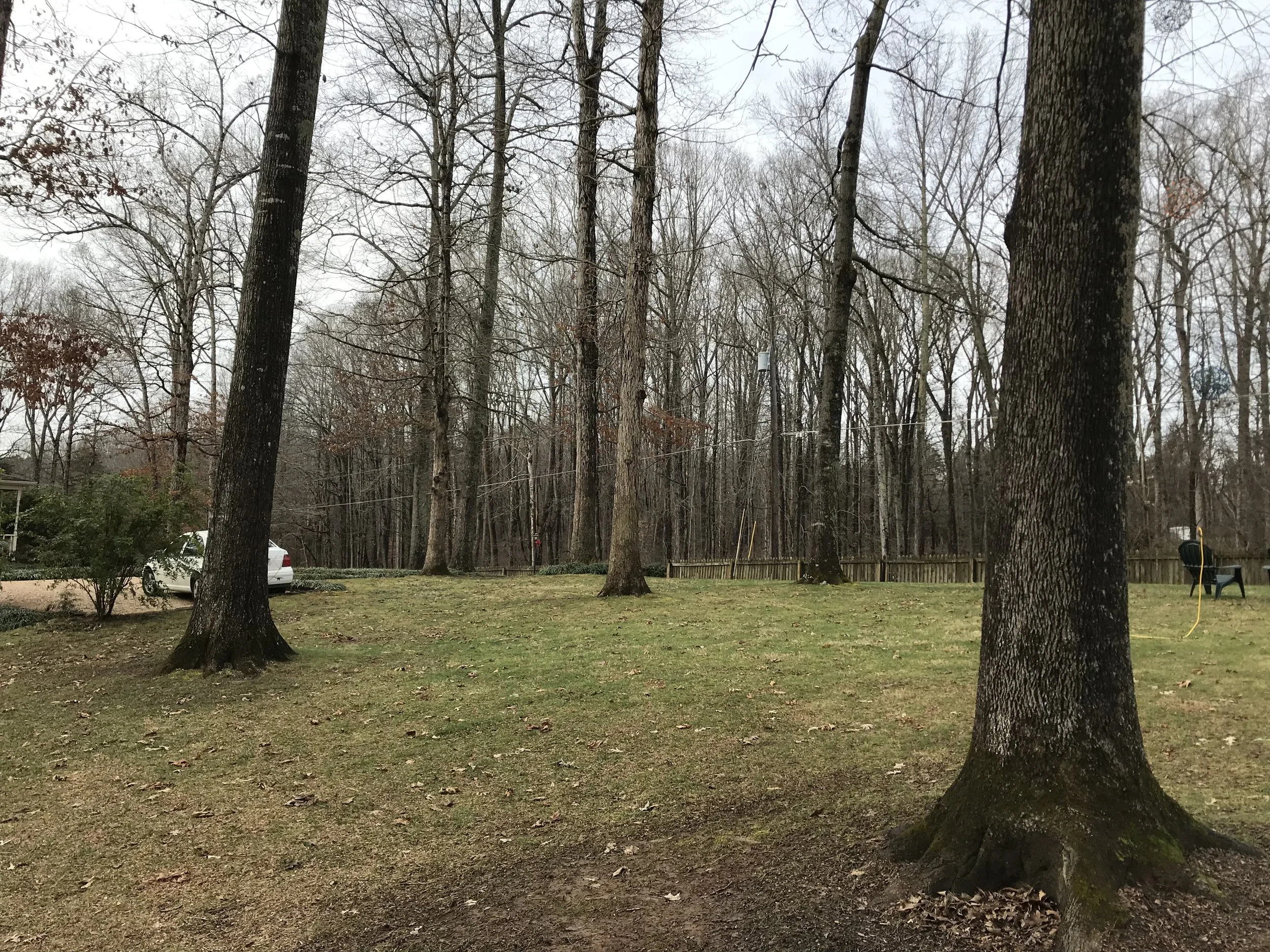 This is photo 8. Looking towards the driveway at the front of the property from about half way up the side yard on the east side of the property.