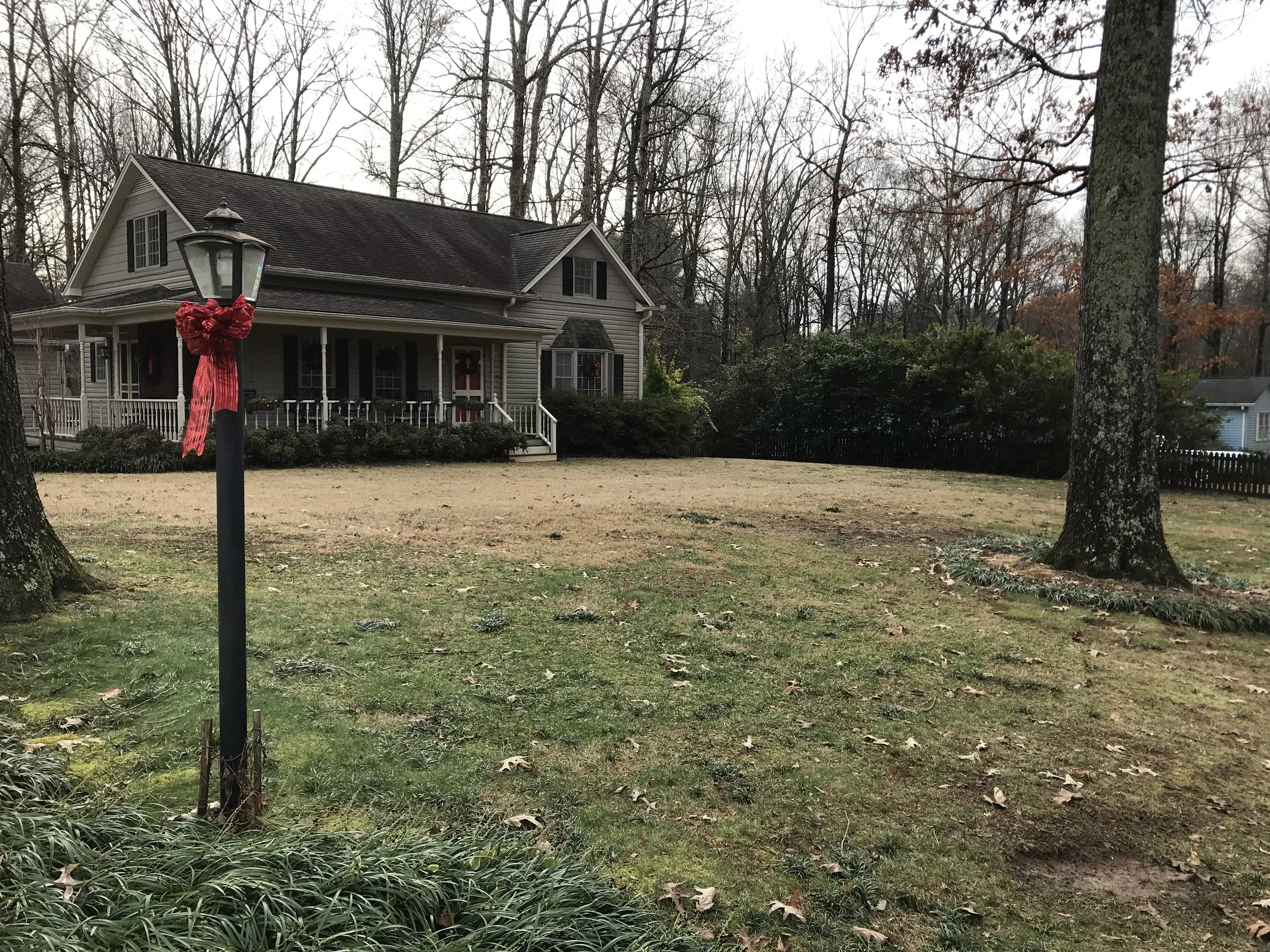 This is photo 15. The front yard from the corner post at the driveway.