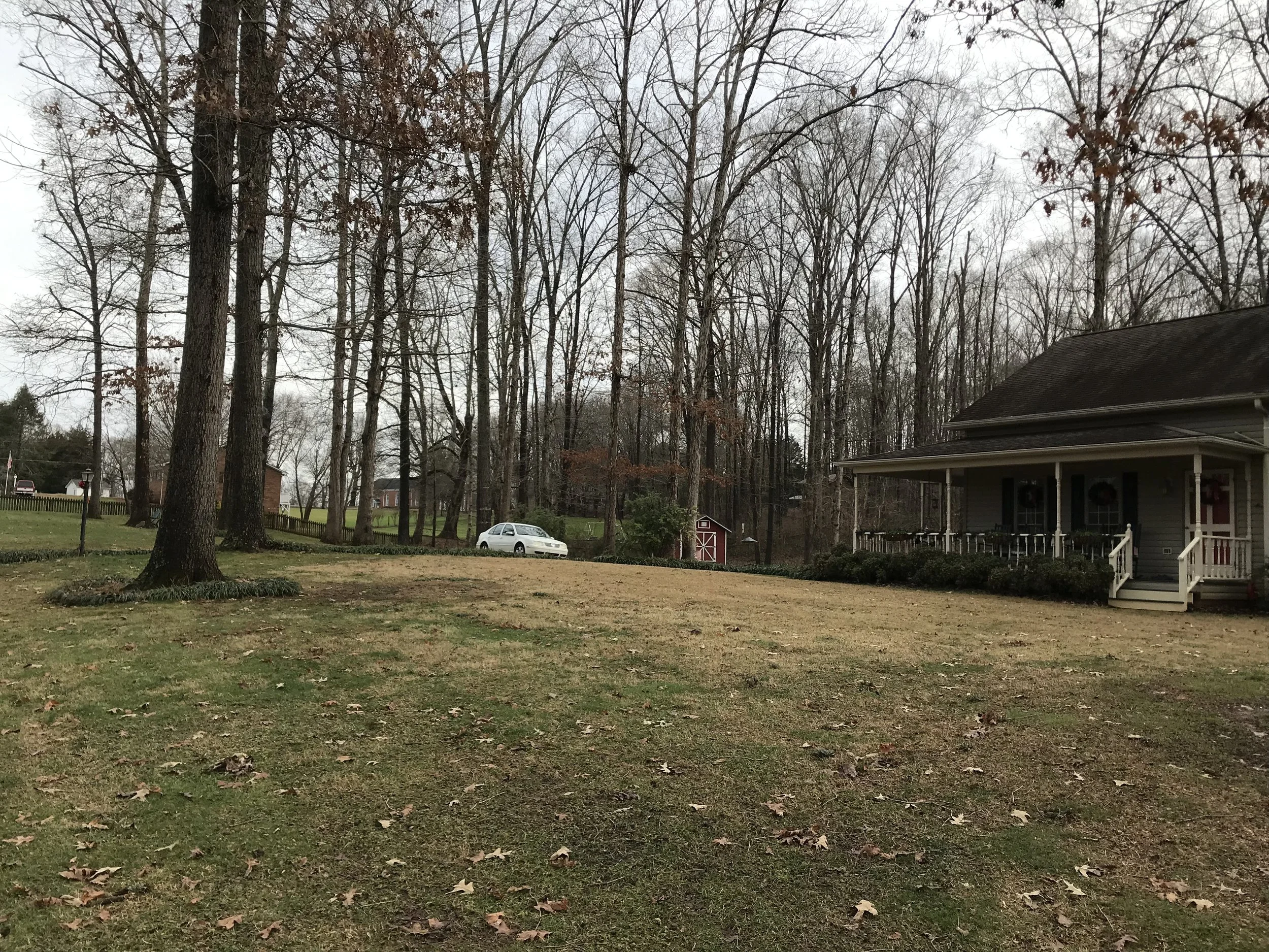 This is photo 16. Looking back towards the driveway from the northwest corner of the front yard.