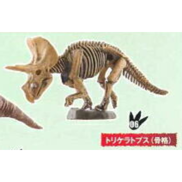 06 Triceratops Fossil Furuta Dinosaur And Fossil Series Dejankins