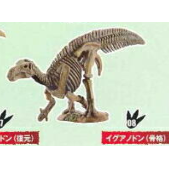 08 Iguanodon fossil.PNG