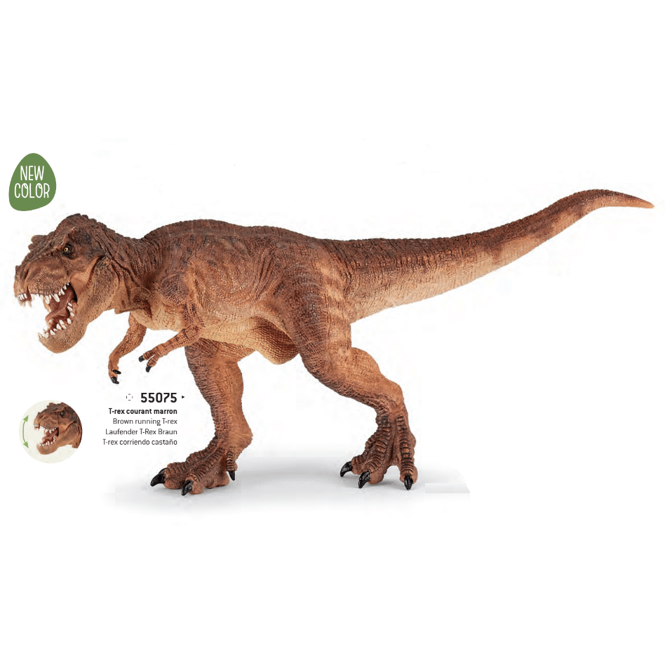 Papo 55075 in Corso T-Rex Marrone 32 cm Dinosauro Novità 2019 