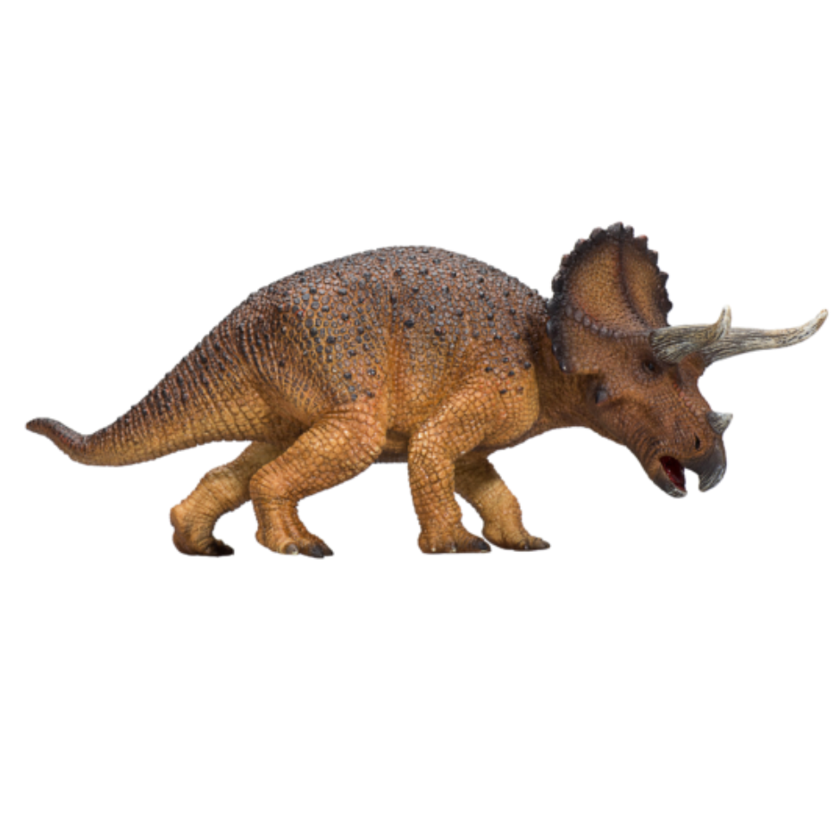 Triceratops-1-387364.PNG