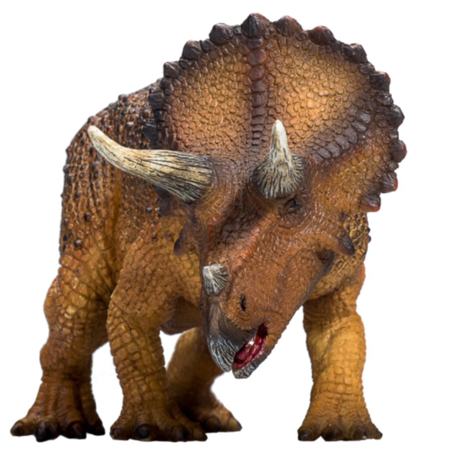 Triceratops-2-387364.PNG