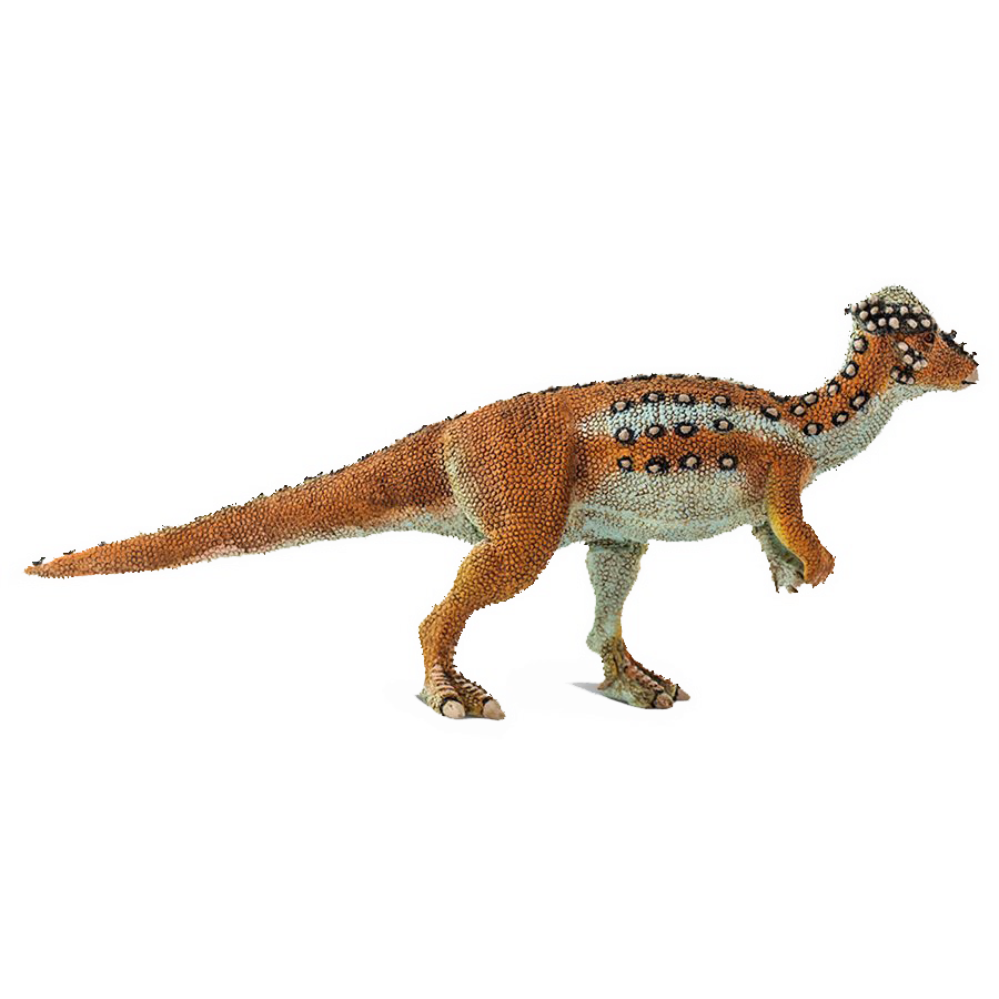 100350 Pachycephalosaurus 2020.png
