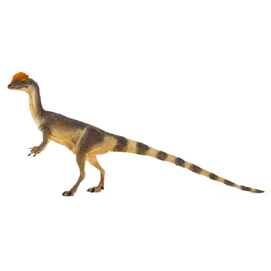 100508 Dilophosaurus 2020.png