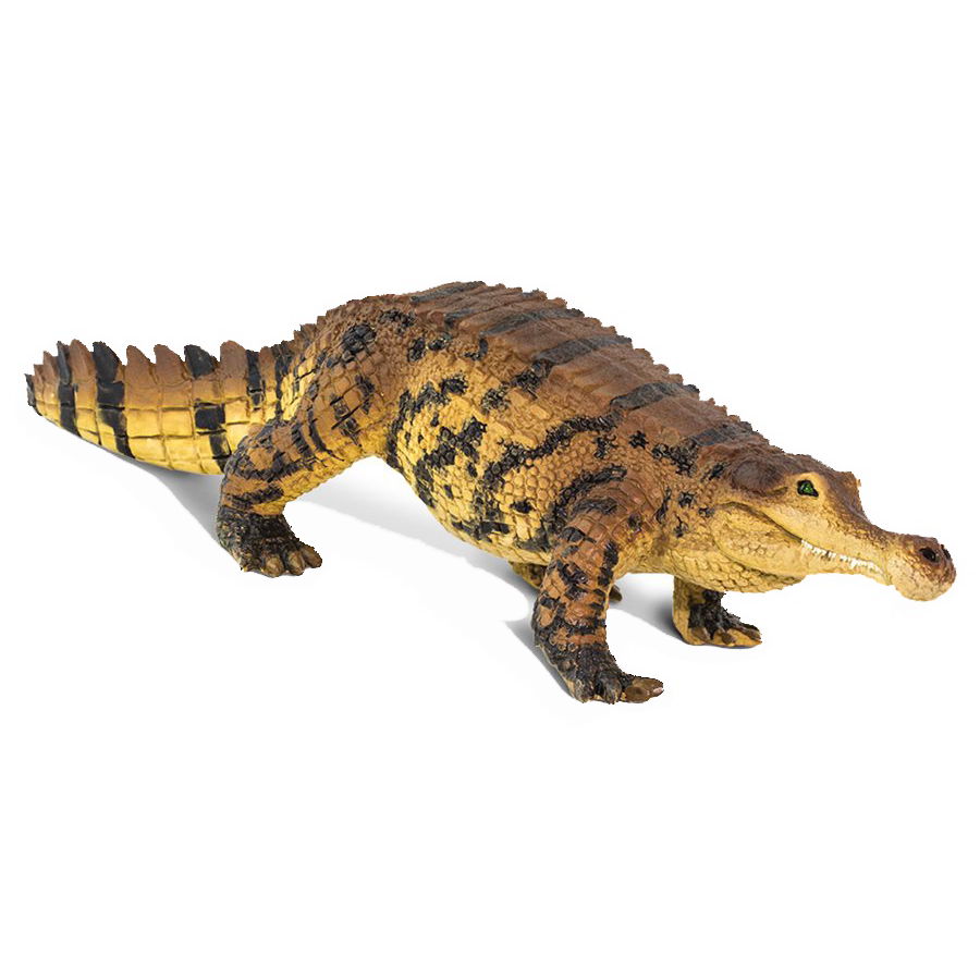 100356 Sarcosuchus 2020.png