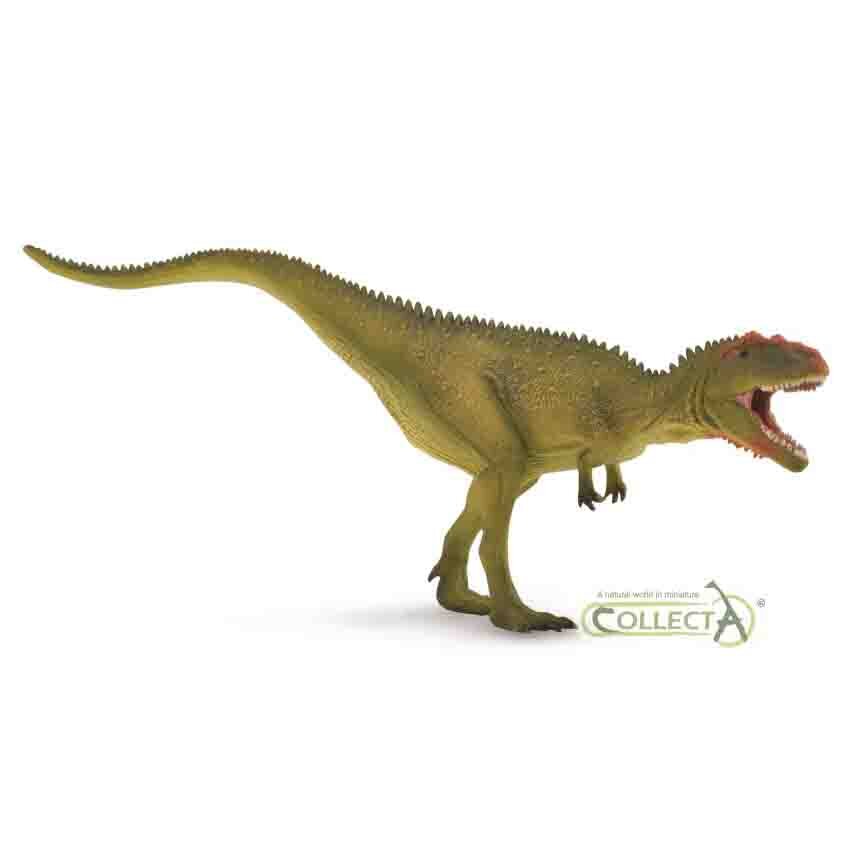 USA W CollectA Mapusaurus Jagd Dinosaurier 88889~Neu 2020