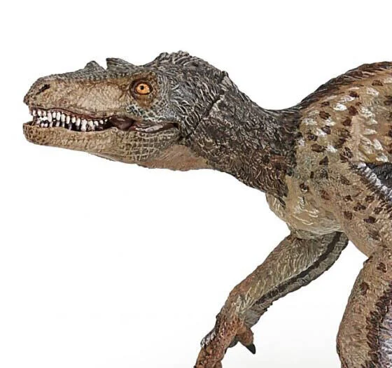 Figurine Papo – Vélociraptor à Plumes – Dinosaure Collection – 3 Ans+