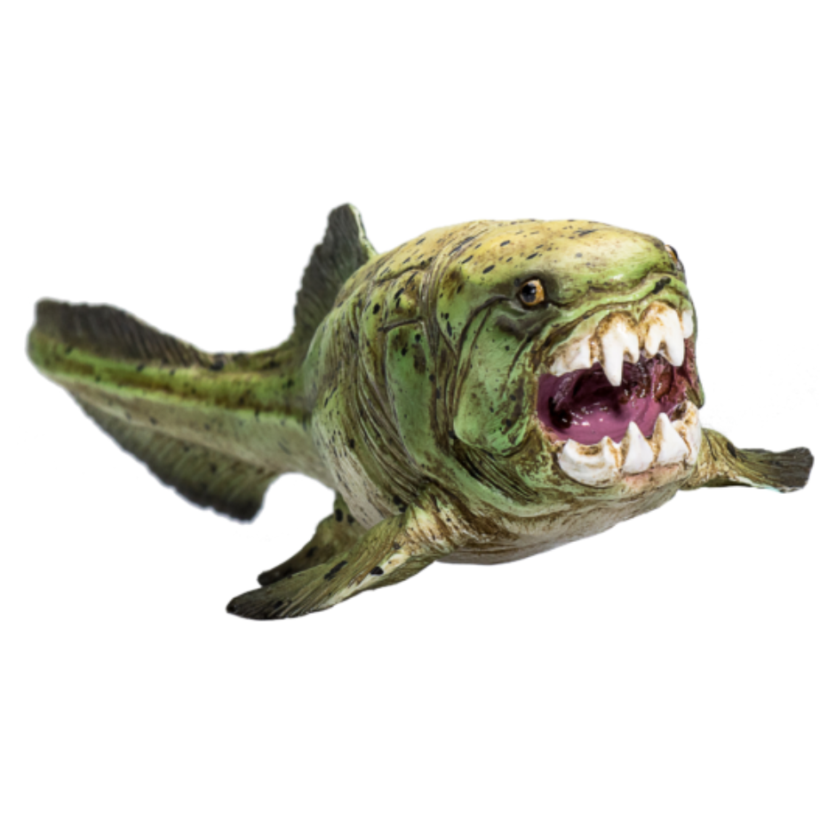 Dunkleosteus-3-387374.PNG