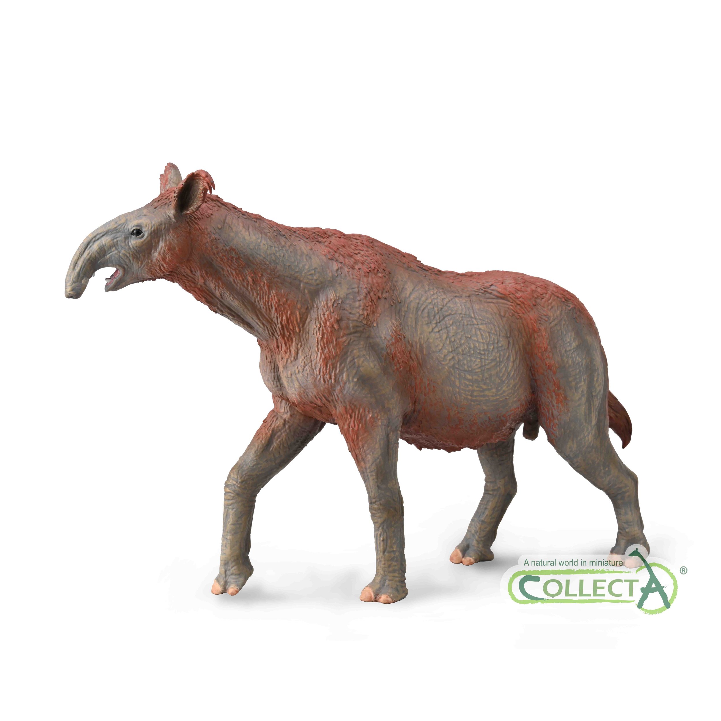 Paraceratherium (88949) - new for 2022 - from CollectA - Expected late  October 2022 — DeJankins
