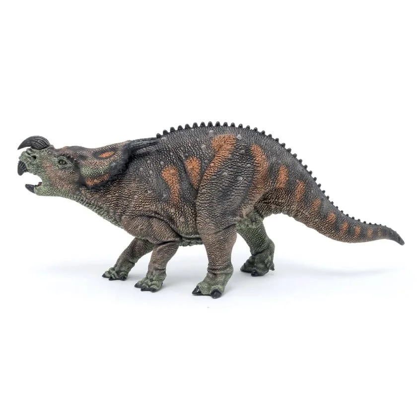 Einiosaurus.JPG