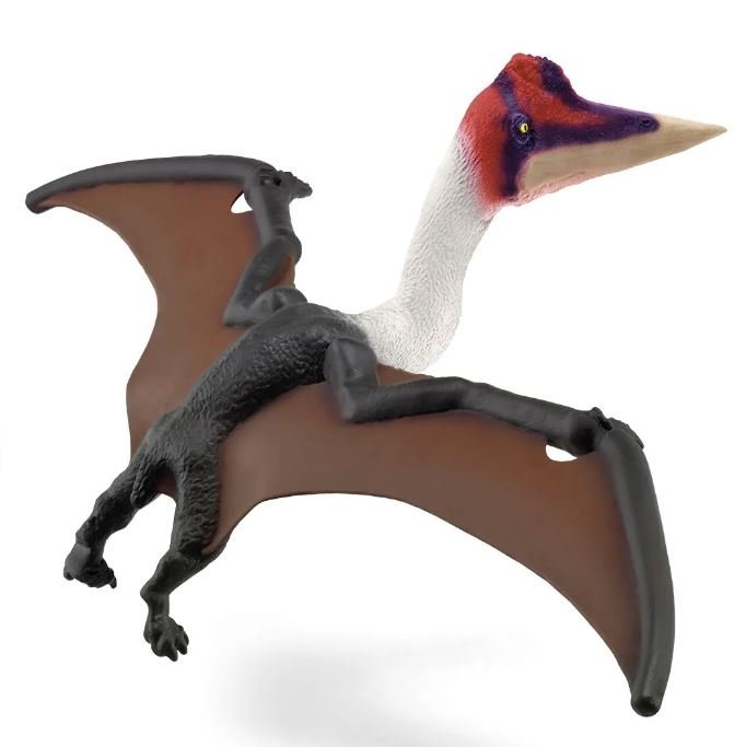 Quetzalcoatlus 15028.JPG