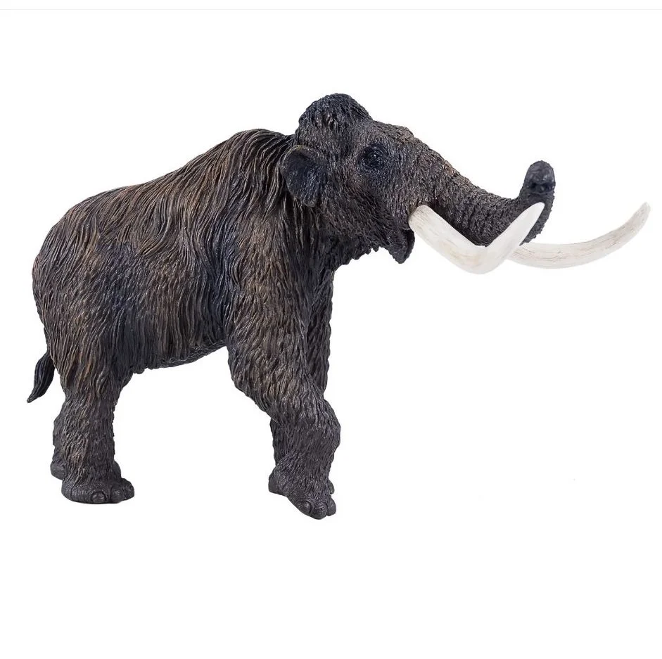 Woolly Mammoth 2023 right.JPG