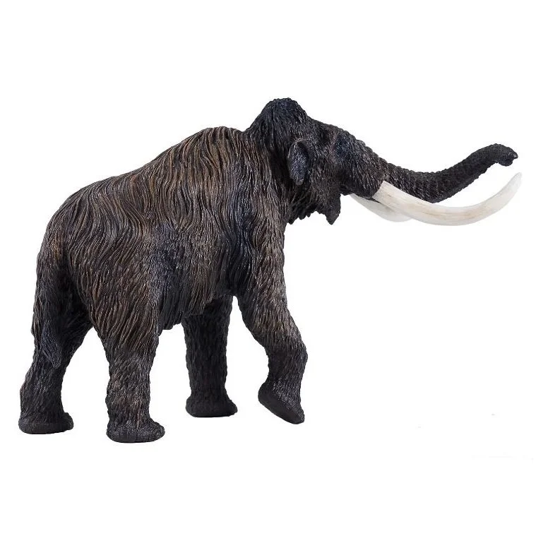 Woolly Mammoth 2023 right rear.JPG