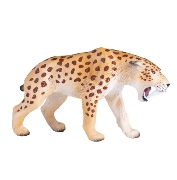 Smilodon 2022 right.JPG