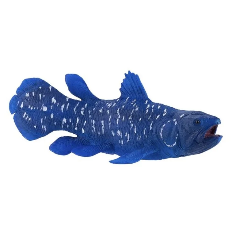 Coelacanth 2023 right front.JPG