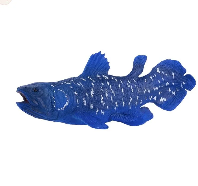 Ceolacanth 2023 left.JPG