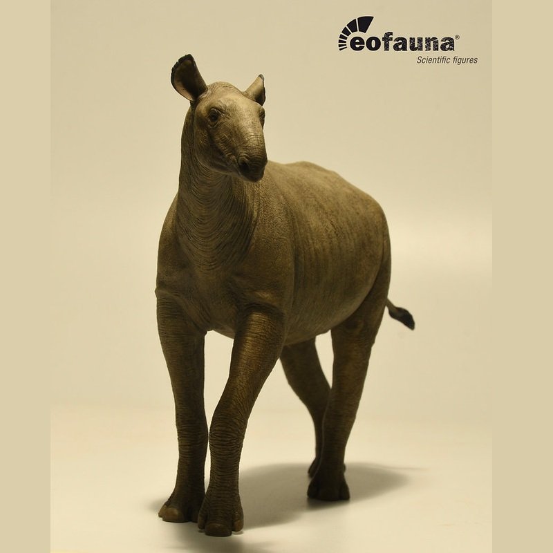 Paraceratherium B 2026.jpg