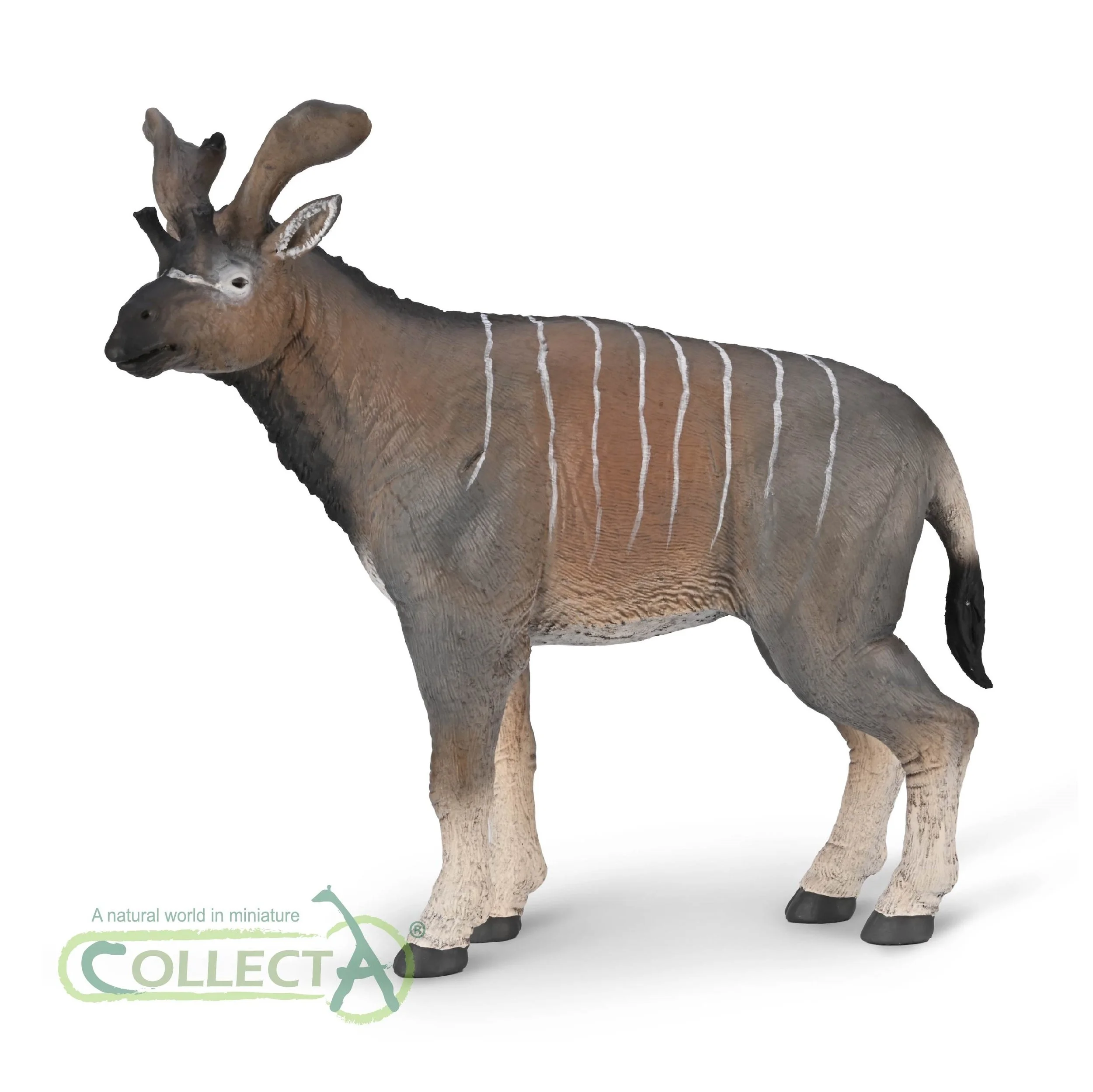 80069 Sivatherium giganteum-Deluxe 1by20.jpg