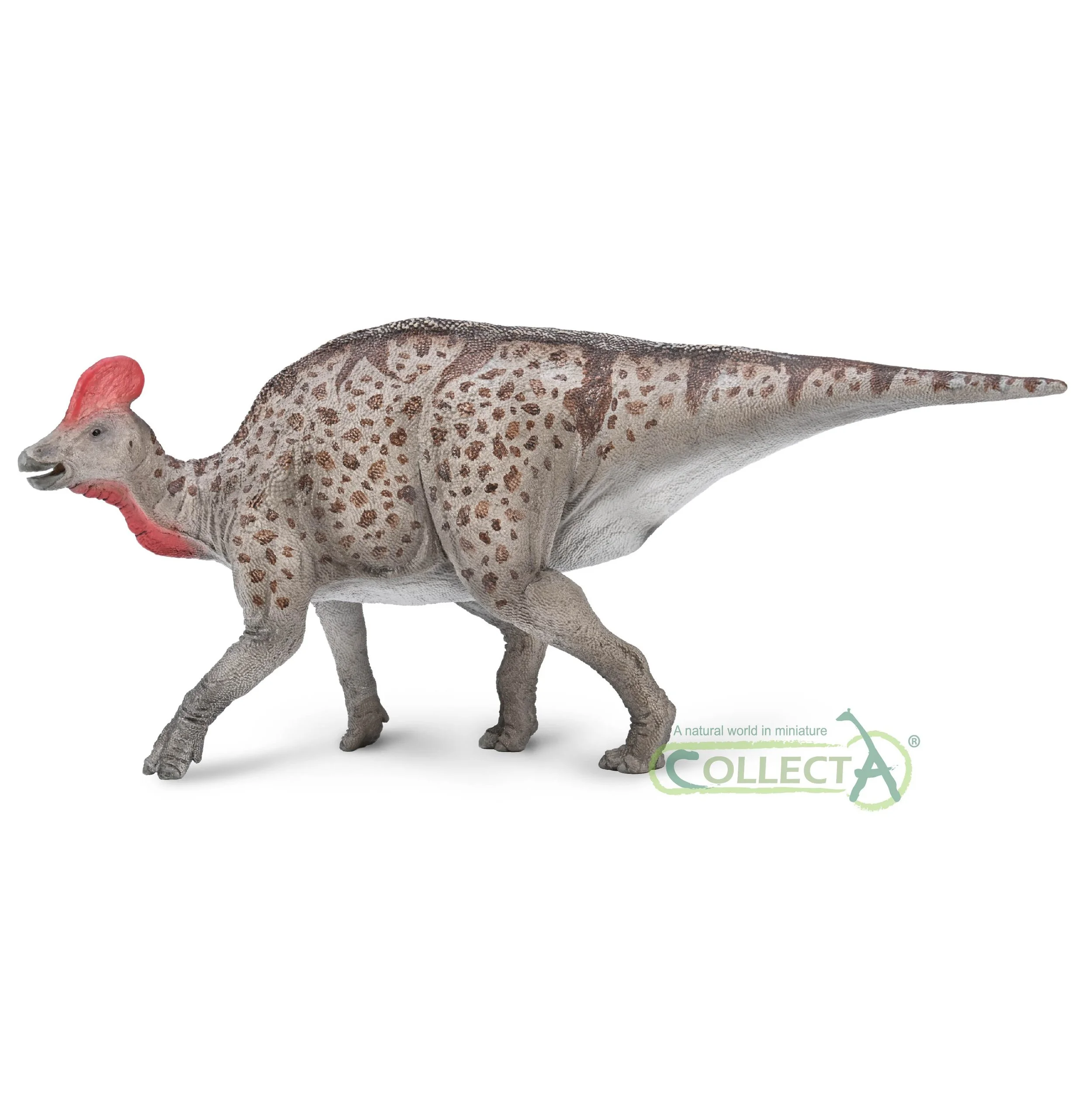 80055 Magnapaulia.jpg