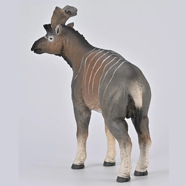 CollectA-Deluxe-Sivatherium-posterior.jpg