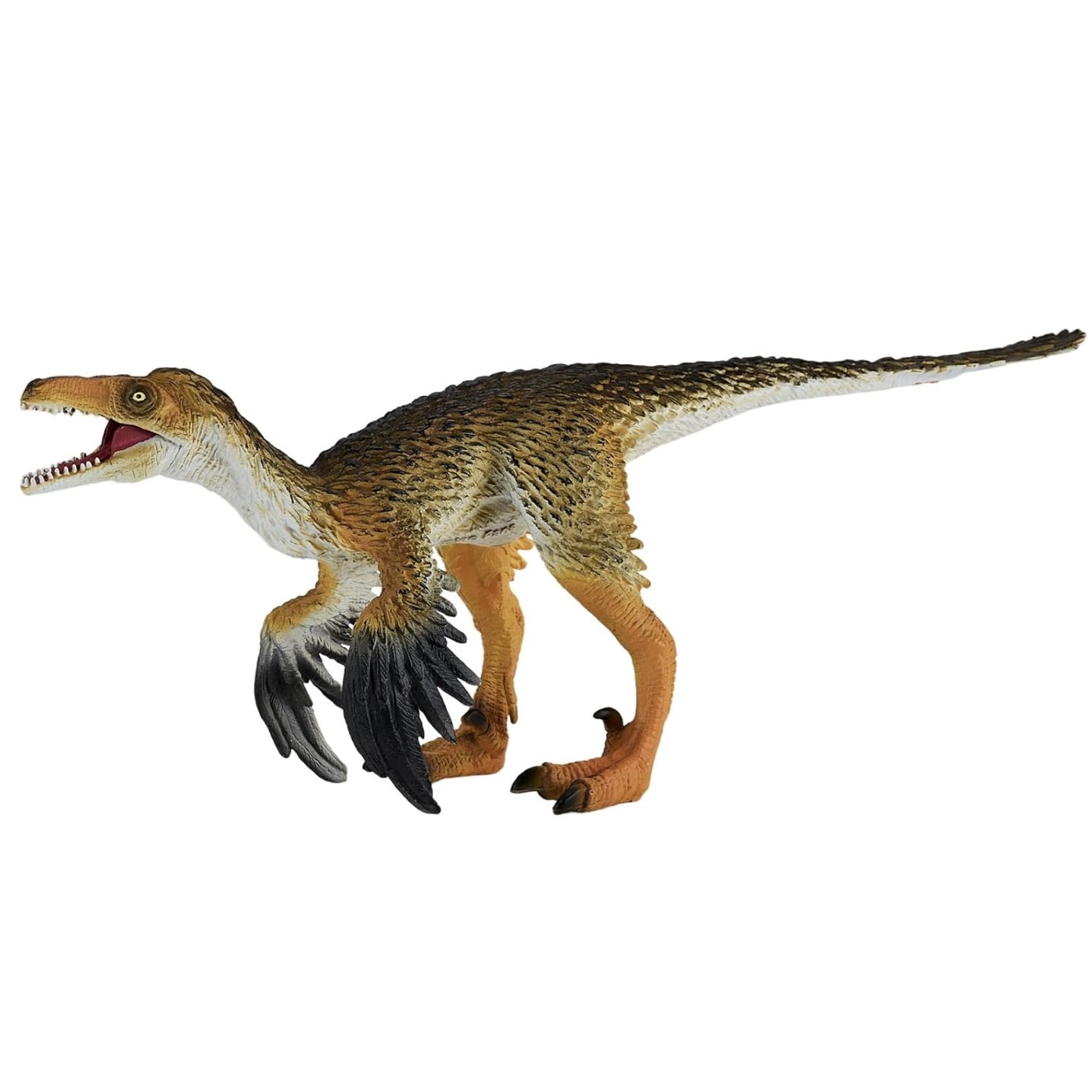 Troodon 381089.jpg