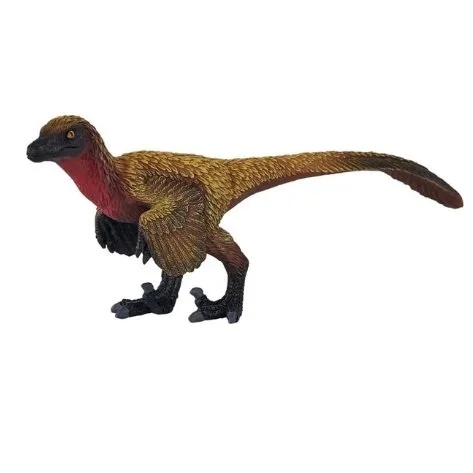 Feathered Velociraptor 381152 looking left.jpg