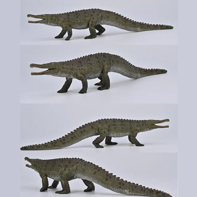 Colossosuchus 2026 4 views.jpg