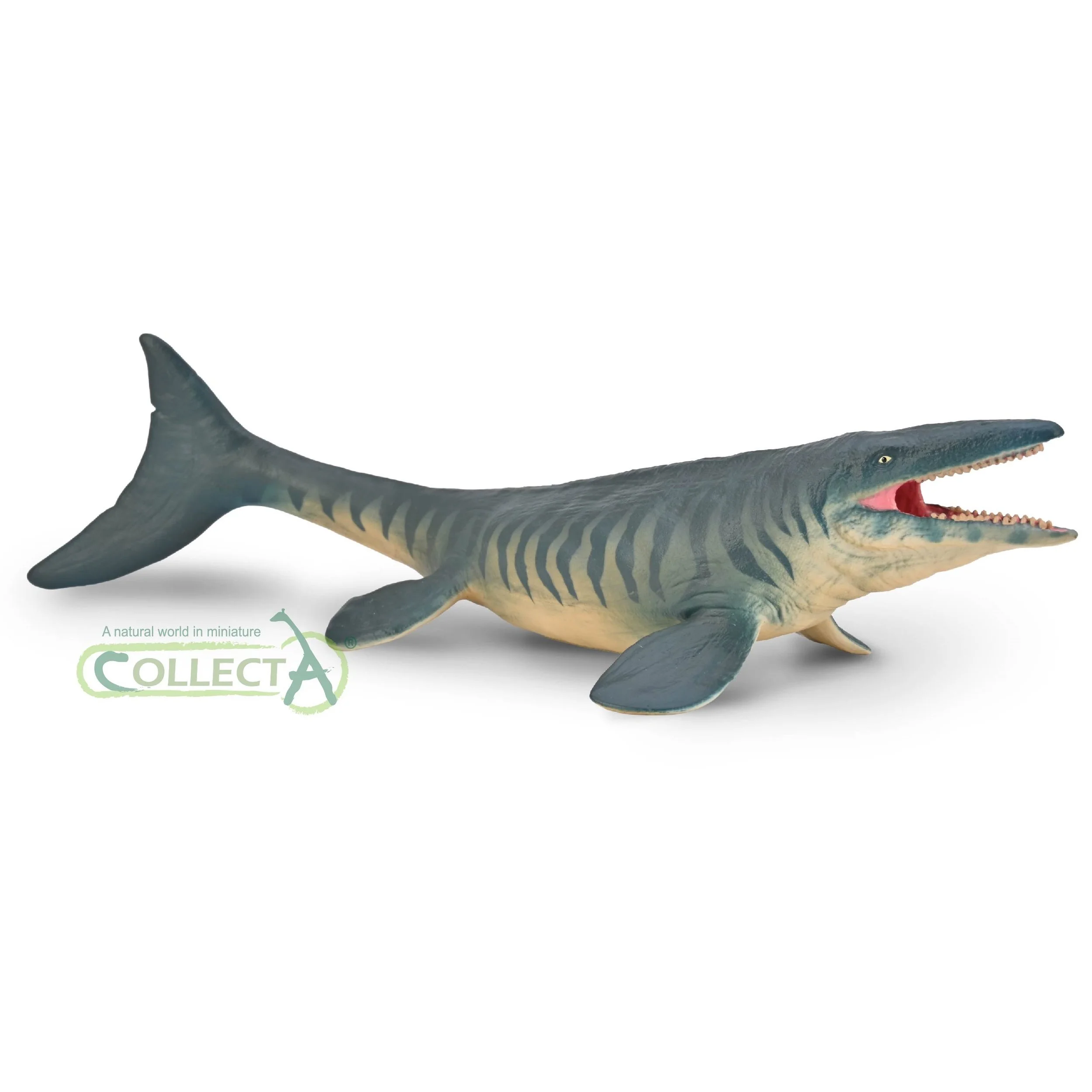 80048-Tylosaurus.jpg