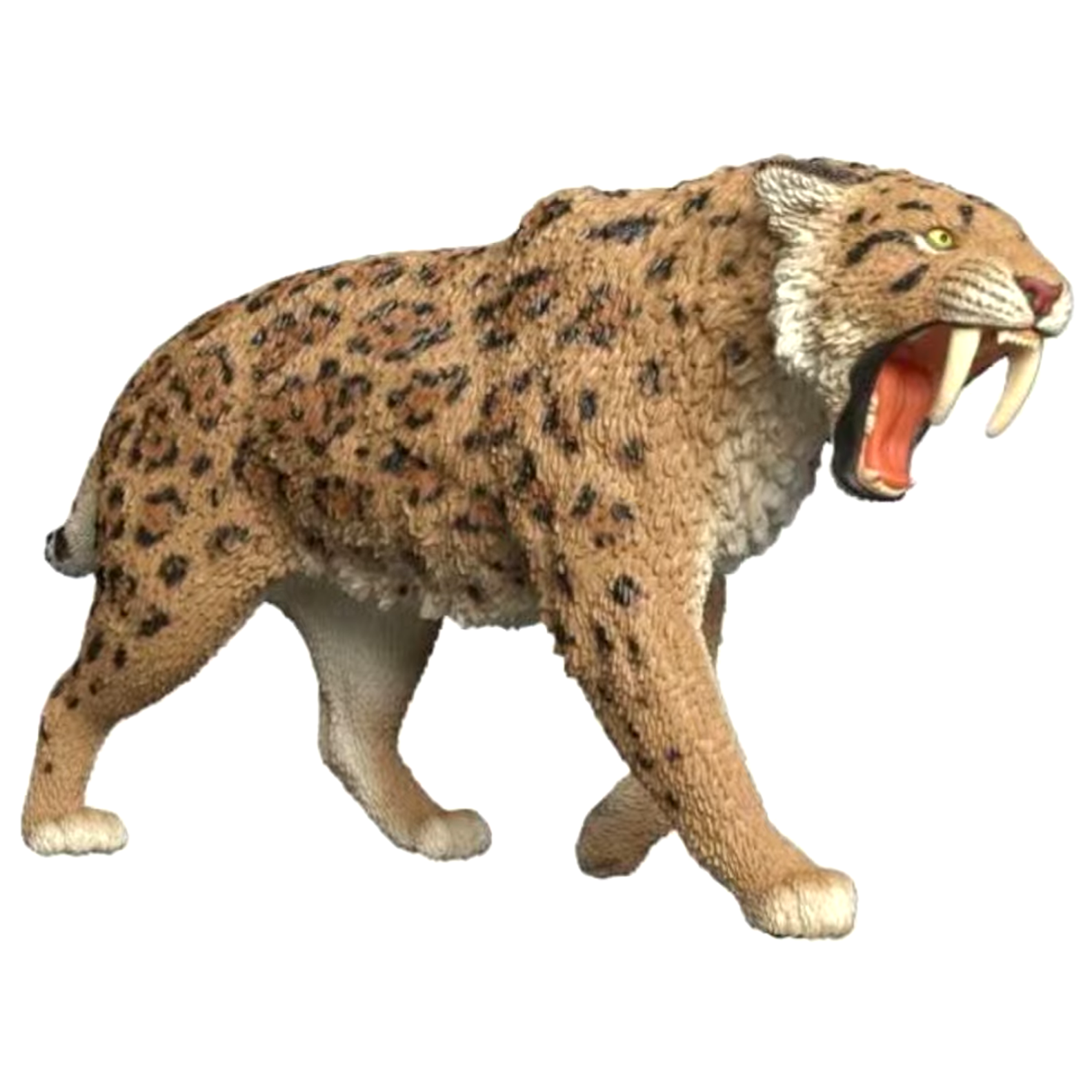 Photo Nov 06 2025, 20 47 00.png