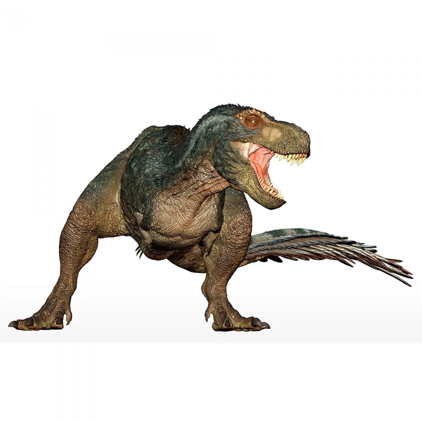 Papo-T-Rex-with-feathers-55102.p55102a.jpg