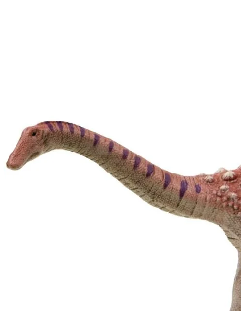 Saltasaurus 103539 closeup.JPG