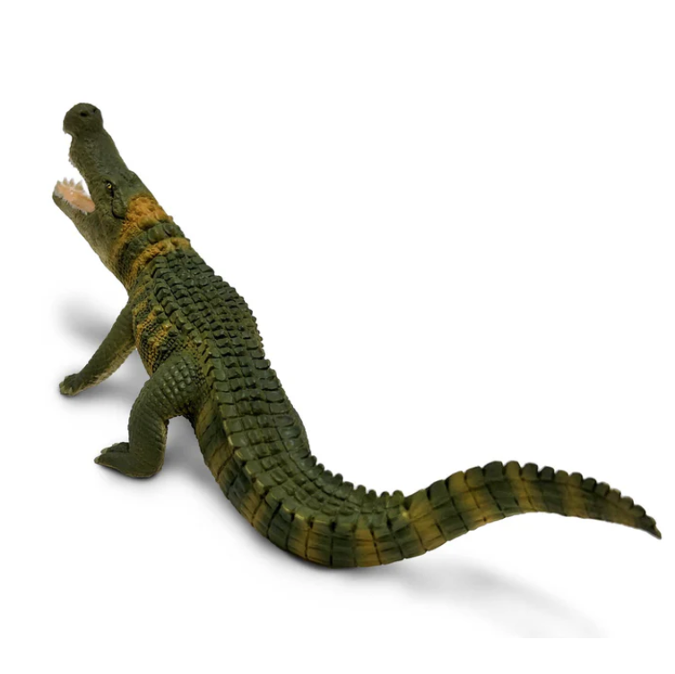 Screenshot 2025-12-31 180857.png