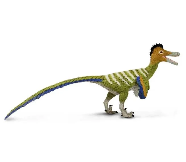 Austroraptor 104993 right.JPG