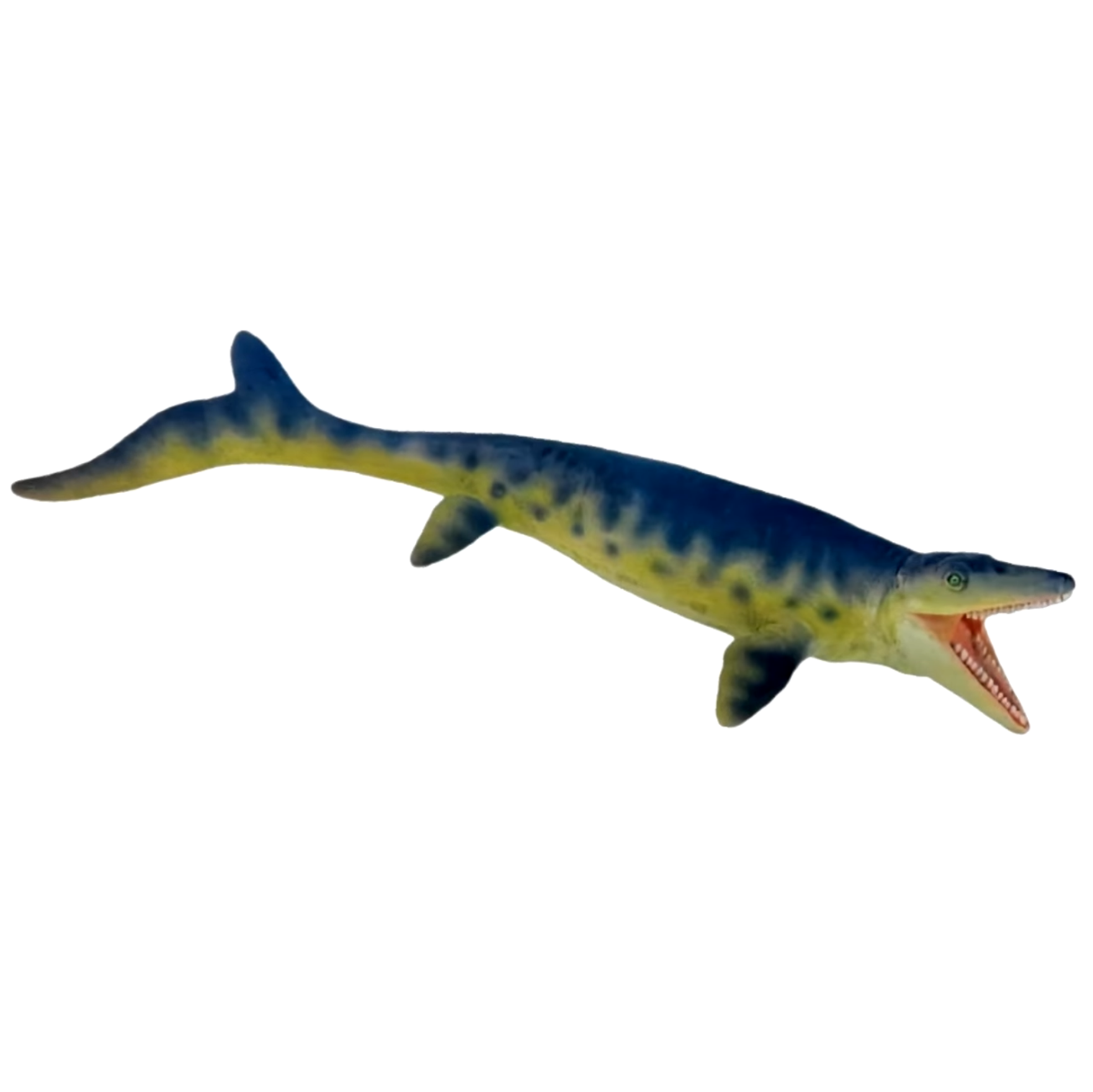 Photo Nov 06 2025, 20 41 17.png