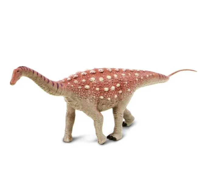 Saltasaurus 103539 left front.JPG