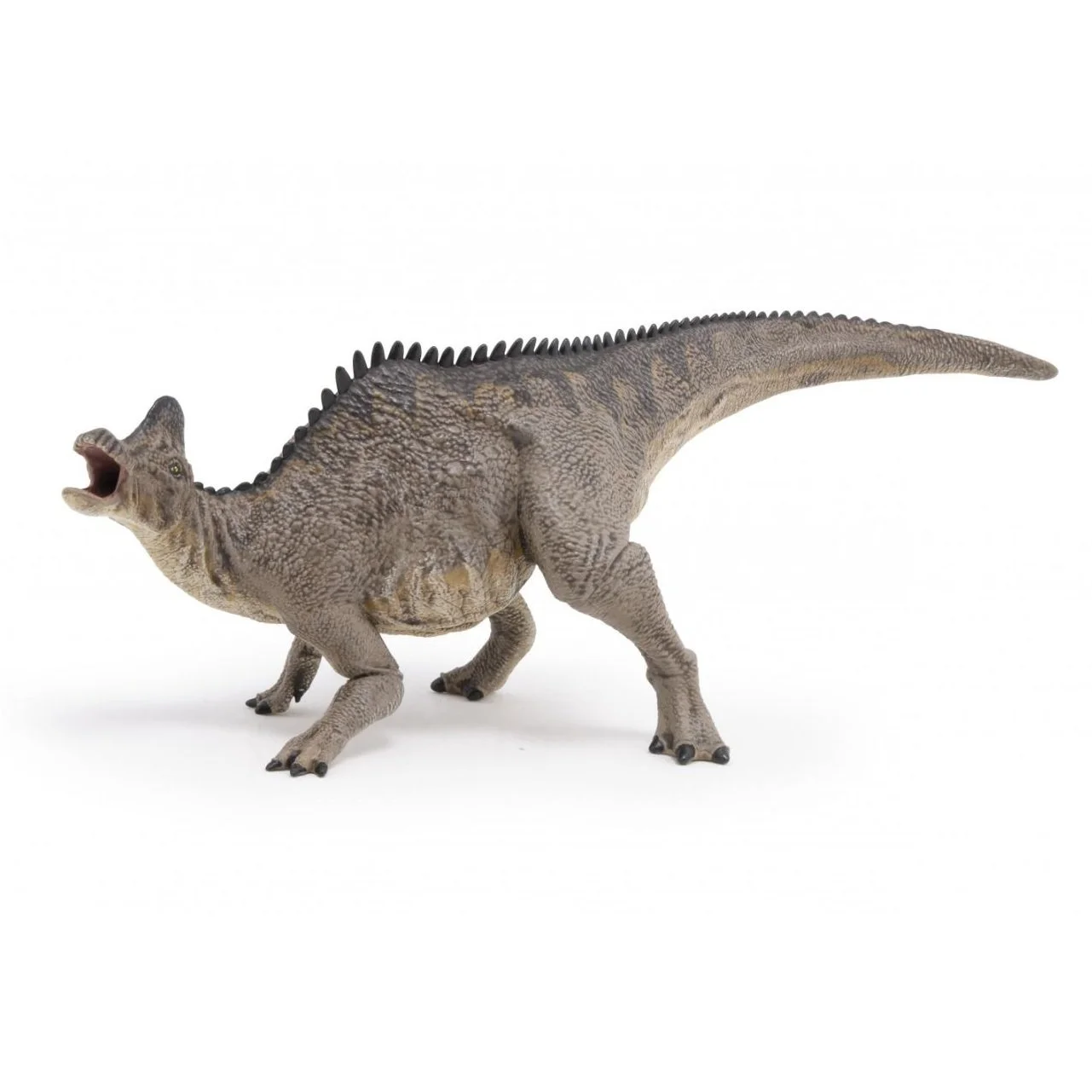 Corythosaurus 55099.JPG