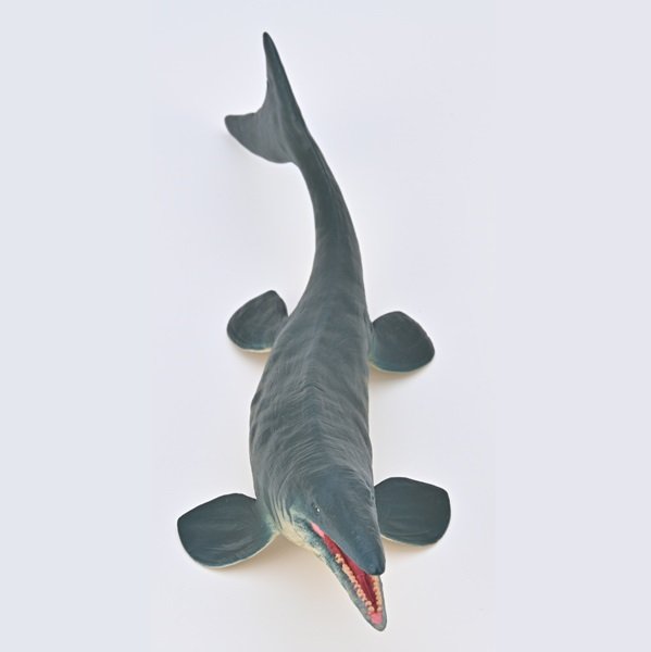 Tylosaurus-dorsal.jpg