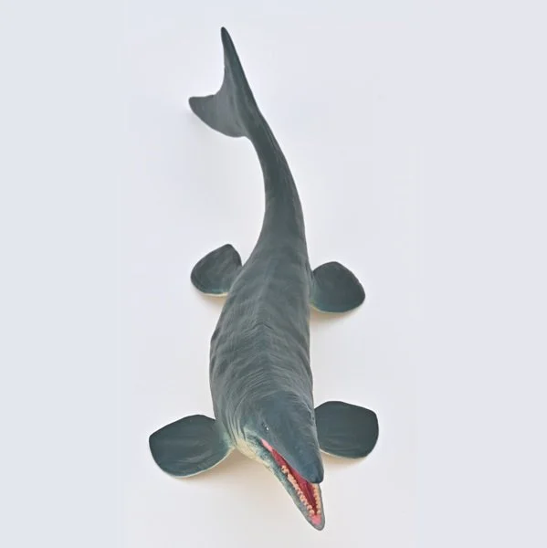 Tylosaurus-dorsal.jpg