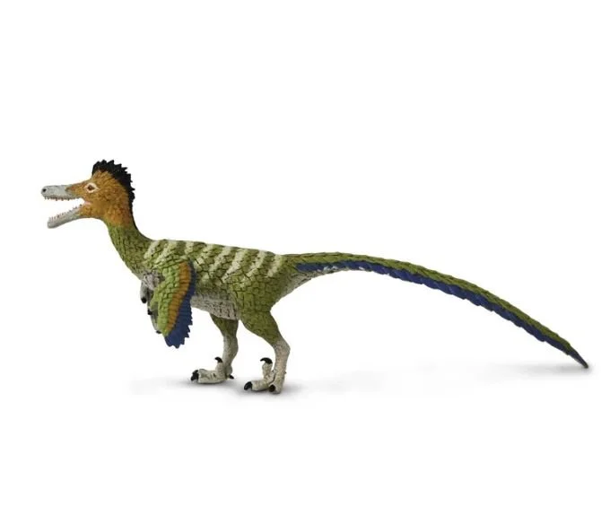 Austroraptor 104993 left.JPG