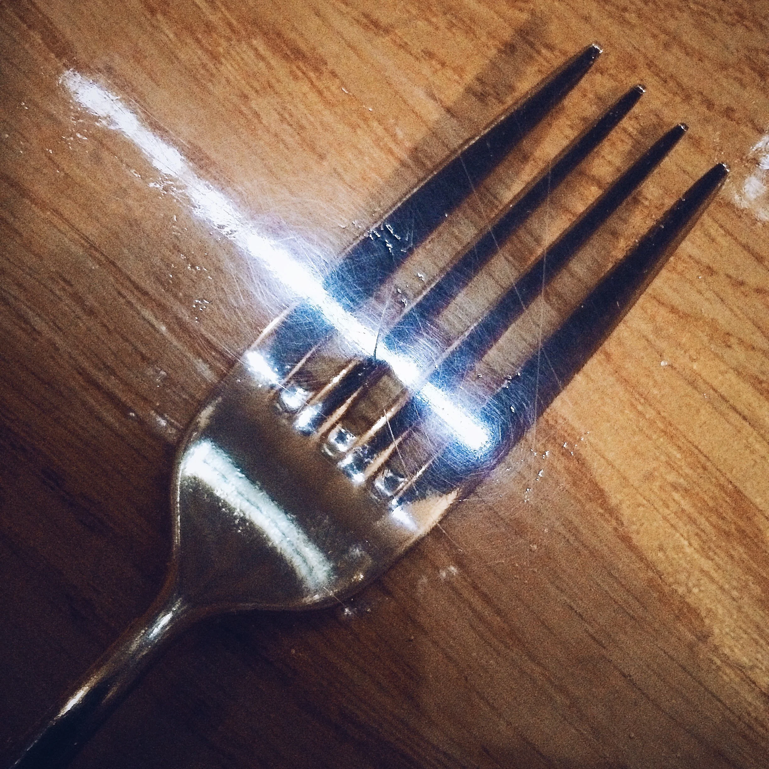00095.jpg